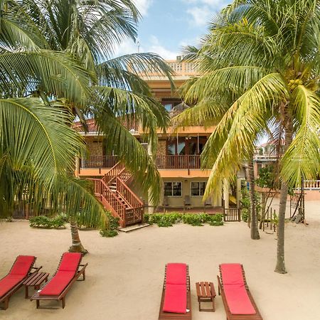 ホテル Buttonwood Belize ホプキンズ エクステリア 写真