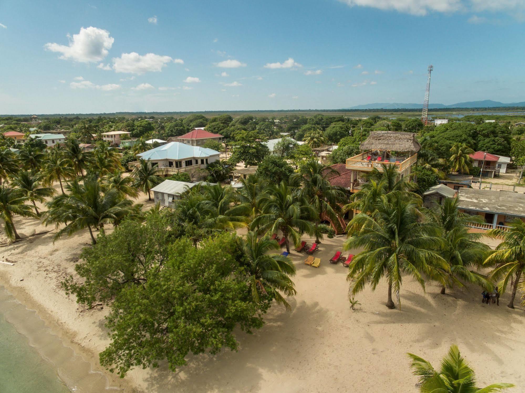 ホテル Buttonwood Belize ホプキンズ エクステリア 写真